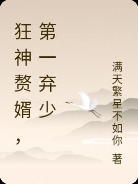 狂神赘婿,第一弃少