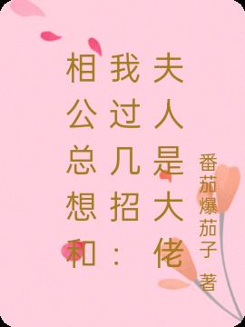 相公总想和我过几招：夫人是大佬