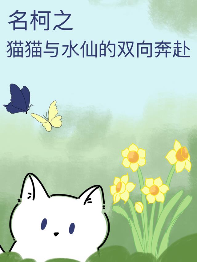 名柯之猫猫与水仙的双向奔赴