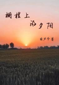 栅栏上的夕阳