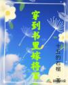 穿到书里嫁将军