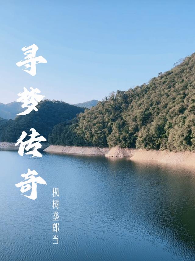 寻梦传奇